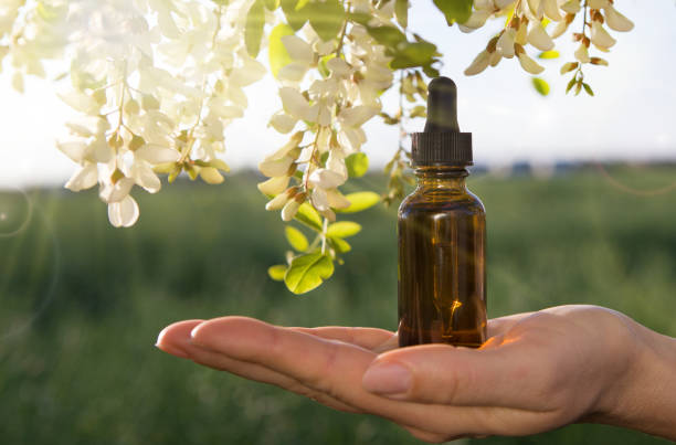 How To Choosing the Right Scent for Every Weather?