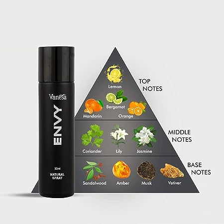 ENVY Natural Spray Perfume for Men 70ml